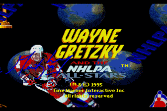 韦恩全明星冰球(美欧)